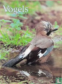 Vogels 22 juli/augustus