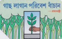 Hand Planting a Tree