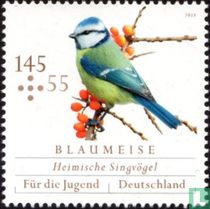 Zagvogels