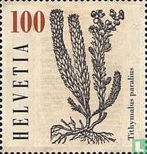 Plantes médicinales
