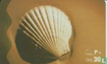 Shell