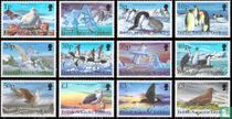 Antarctic birds