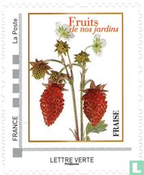 Spring fruits