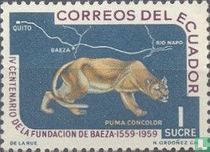 Puma acheter