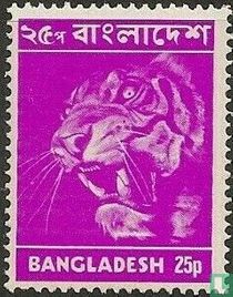 Images du Bangladesh