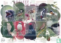 Experience Nature - Forest & heath birds