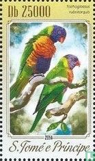 Parrots