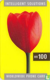 Intelligent Solutions Worldwide Phone Card