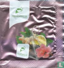 Herbarica sachets de thé catalogue