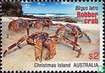 Robber crab