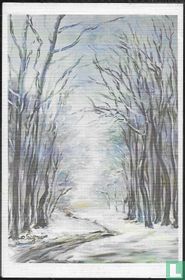 Woud in de winter