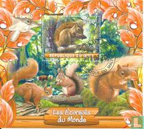 Squirrels