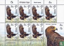 Greater spotted eagle