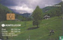 Dimbovicioara 1 