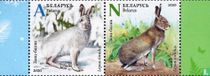 Fauna