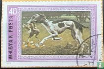 Honden
