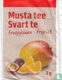 trooppinen • tropisk