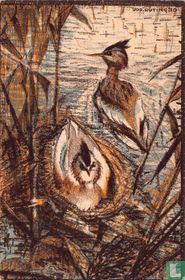 12 FUUT (Podiceps cristatus)