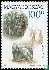 chiens