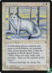 Arctic Foxes