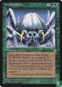 Woolly Spider
