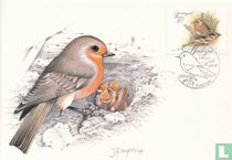 Les oiseaux acheter