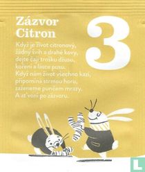  3 Zázvor Citron