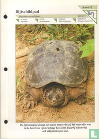 Bijtschildpad