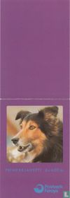 Chiens acheter