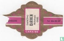 Dancing Carmen Molsebaan Geel - Orgelmuziek - Tel. 014-50 107