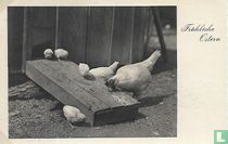 Frohliche Ostern