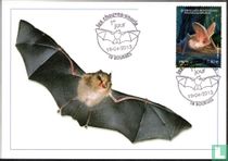 Bats