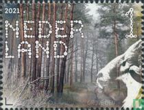 Scots pine for sale