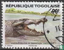 Crocodile