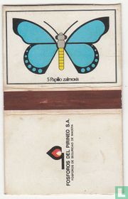 Papilo zalmoxis