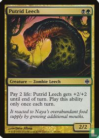 Putrid Leech