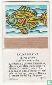 Pez Rombo (Lagodon romboides)