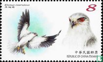 Endangered Birds