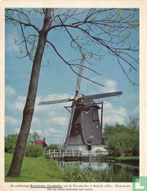 Molen 