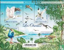 Des oiseaux acheter