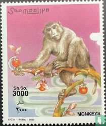 Fauna