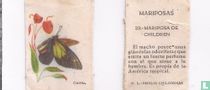 Mariposa de Children