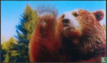 Grizzli