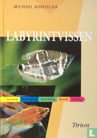 Labyrintvissen