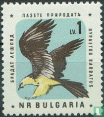 Oiseaux