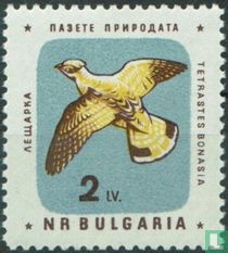 Oiseaux