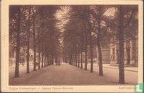 Paulus Potterstraat - Ingang Suasso-Museum    AMSTERDAM  