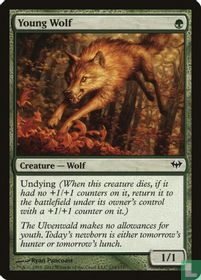 Young Wolf