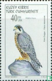Roofvogels 