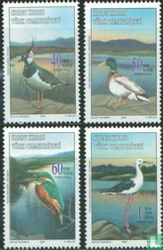 Oiseaux   